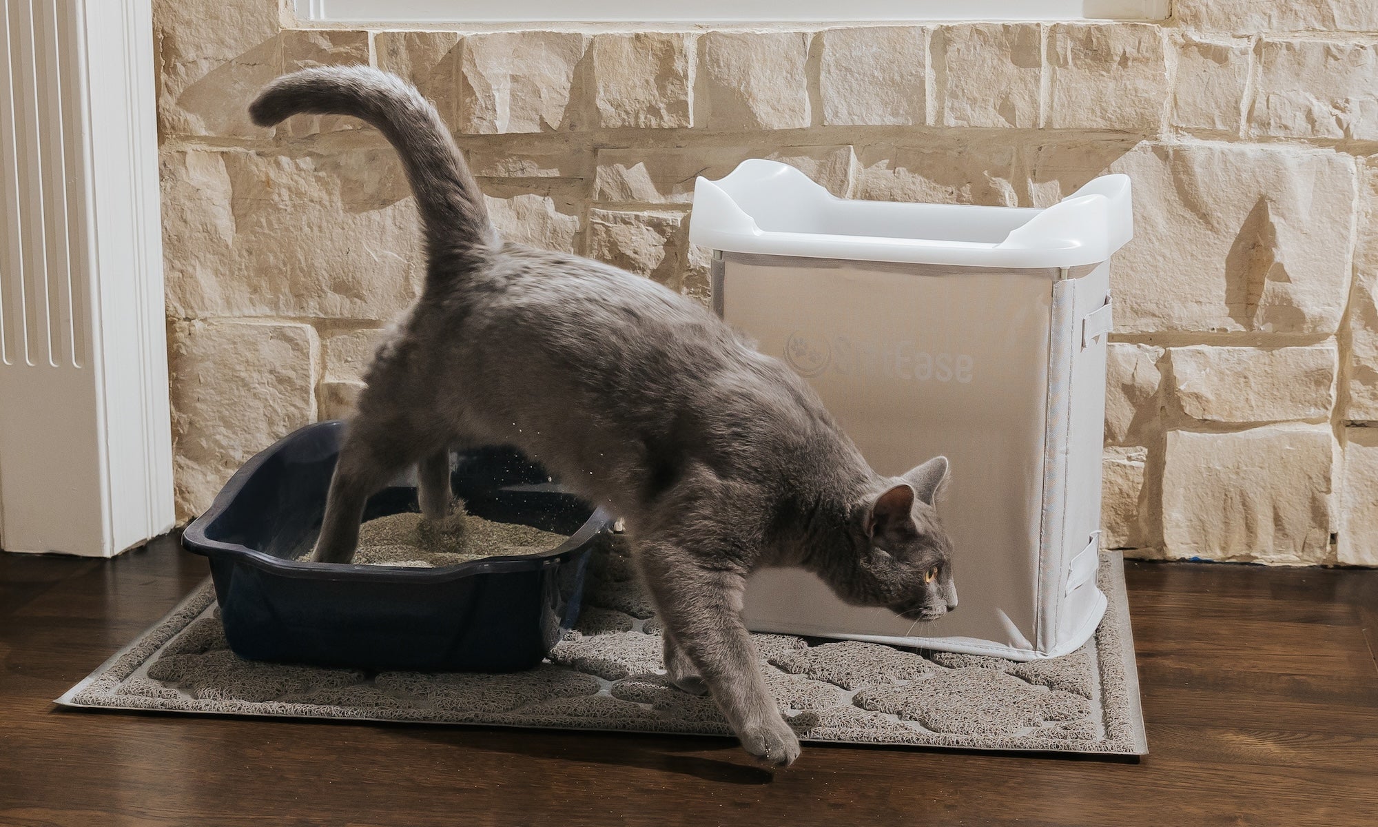 6 Benefits of Regular Litter Box Cleaning for Your Cats