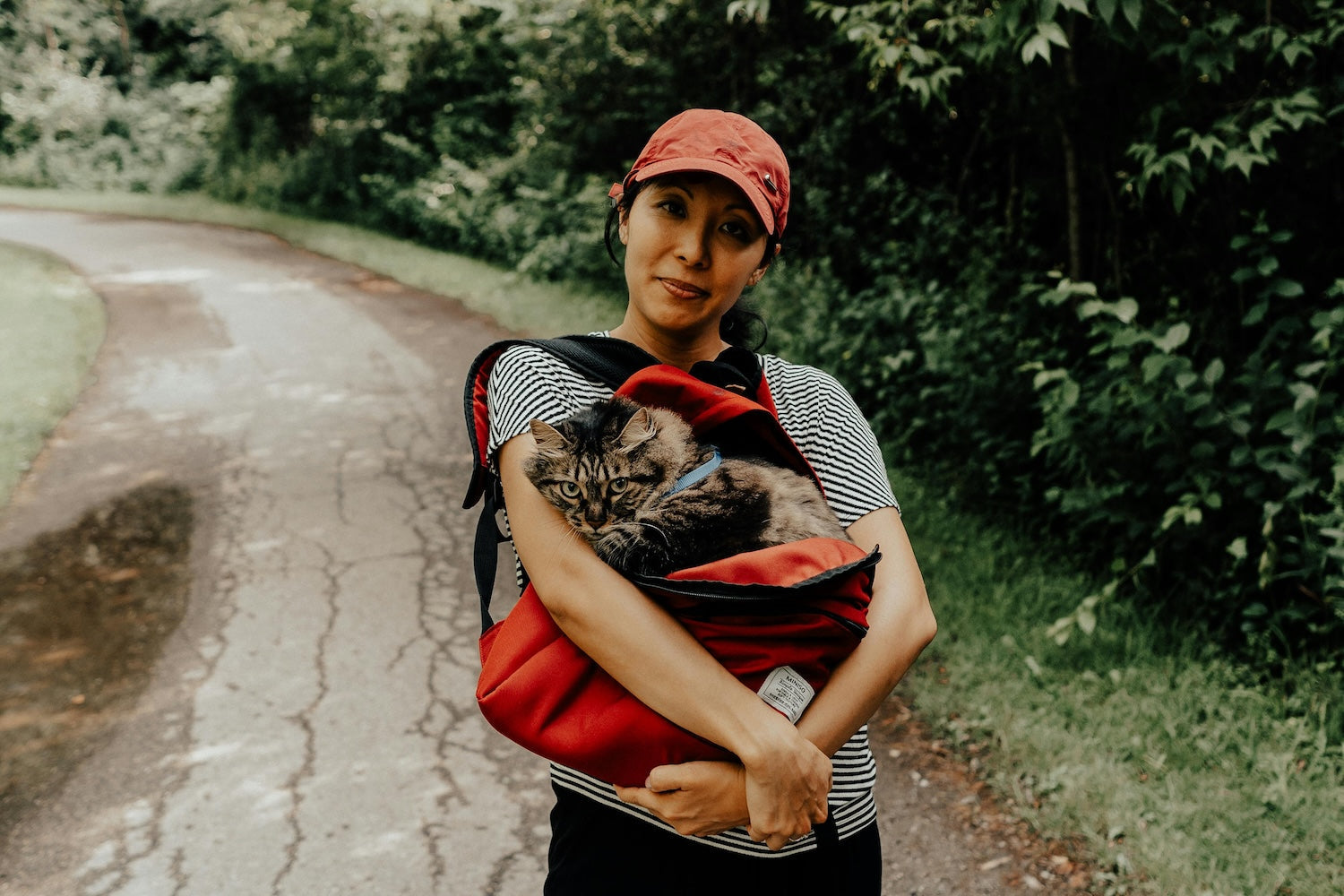 To Bring or Not to Bring: Tips for Caring for Your Cat During Travel