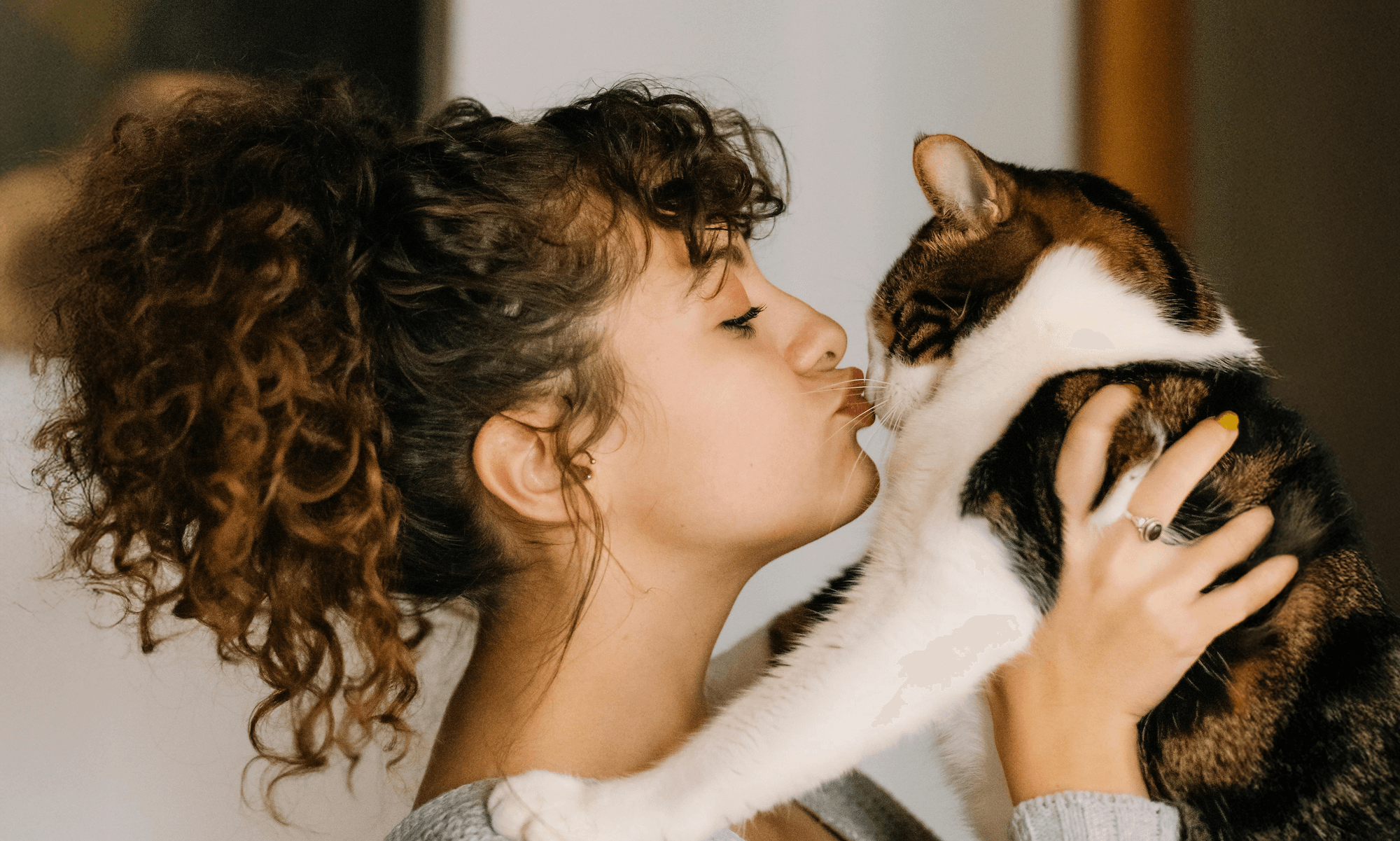 The History of Cats and Love: Why They Make Great Companions